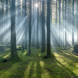 Atmosferiniai eksterjero